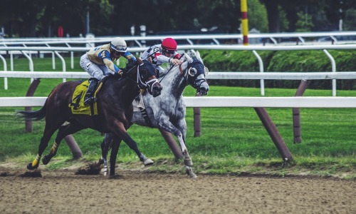 Валуйні ставки – Математична перевага над лінією букмекера